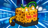 Leopard